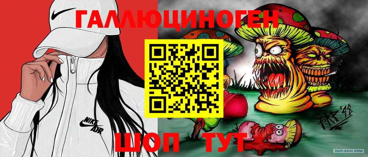 Галлюциногенные грибы Psilocybe  Вход с VPN  Псилоцибиновые грибы ЛСД  Лесозаводск 